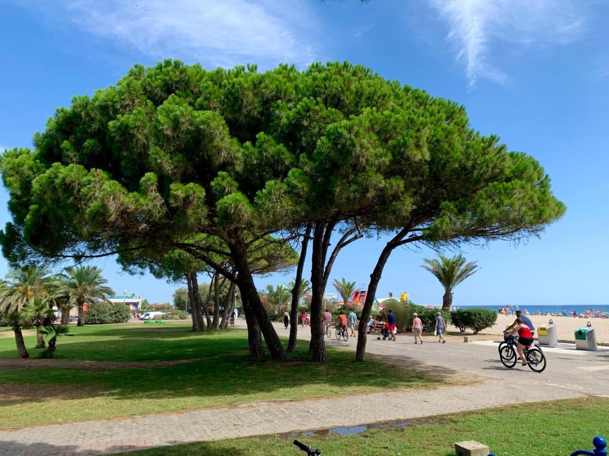 Superbe Appartement Neuf Entre Mer Et Pins Wifi Argelès-sur-Mer Zewnętrze zdjęcie