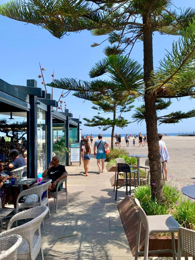 Superbe Appartement Neuf Entre Mer Et Pins Wifi Argelès-sur-Mer Zewnętrze zdjęcie