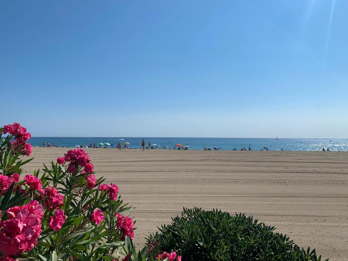 Superbe Appartement Neuf Entre Mer Et Pins Wifi Argelès-sur-Mer Zewnętrze zdjęcie
